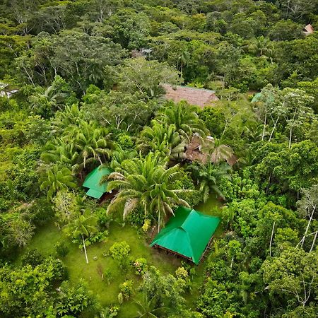 Tronco Tambopata Adventure Hotel Puerto Maldonado Exterior photo